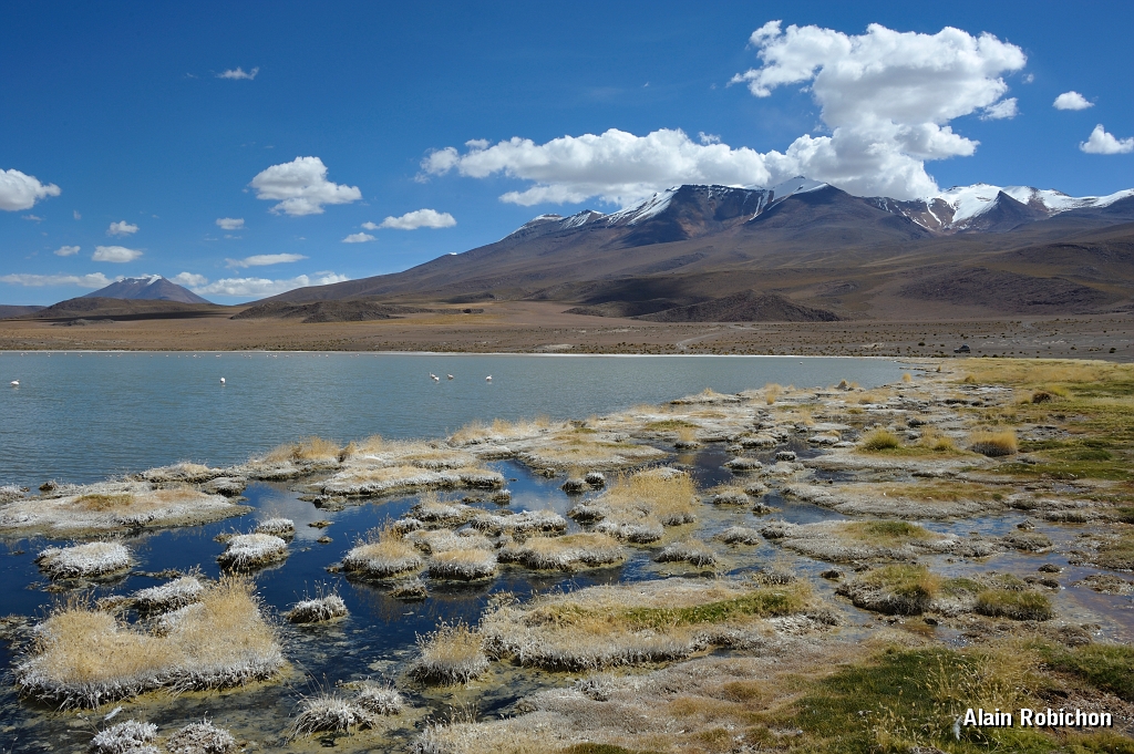 _DSC5030.jpg