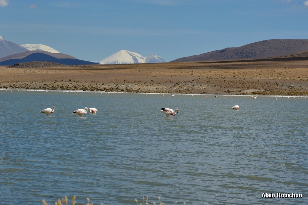 _DSC5035.jpg