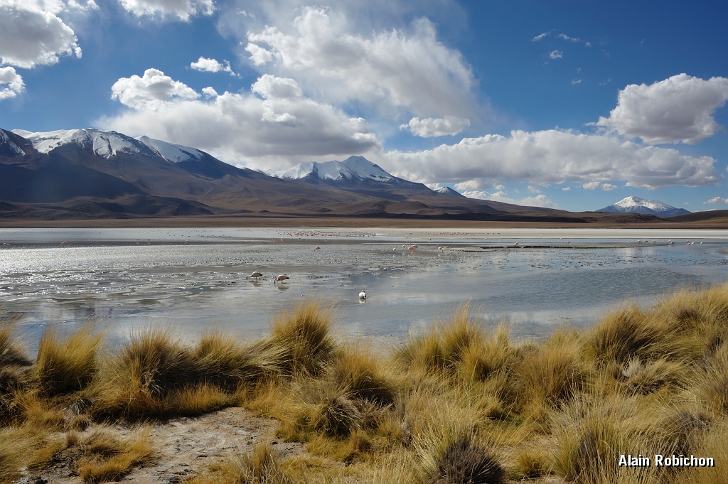 _DSC5090.jpg
