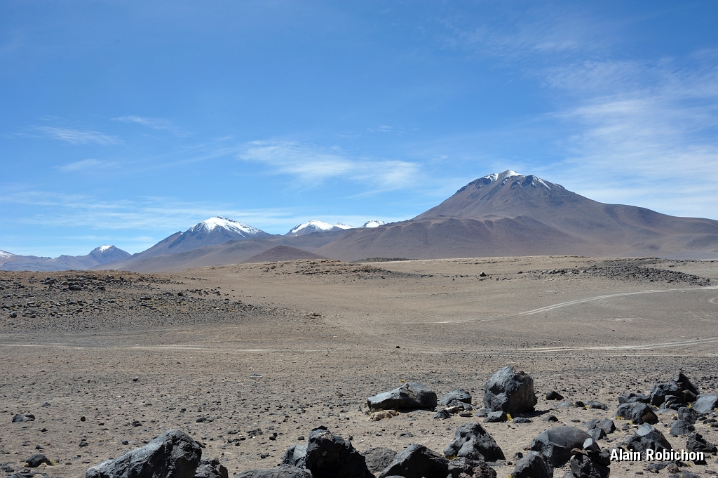 _DSC5171.jpg