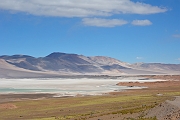 _DSC4573