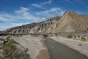_DSC4605