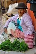 _DSC4797