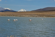 _DSC5035