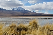 _DSC5091