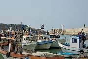 _DSC5513
