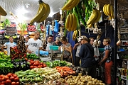 _DSC5519