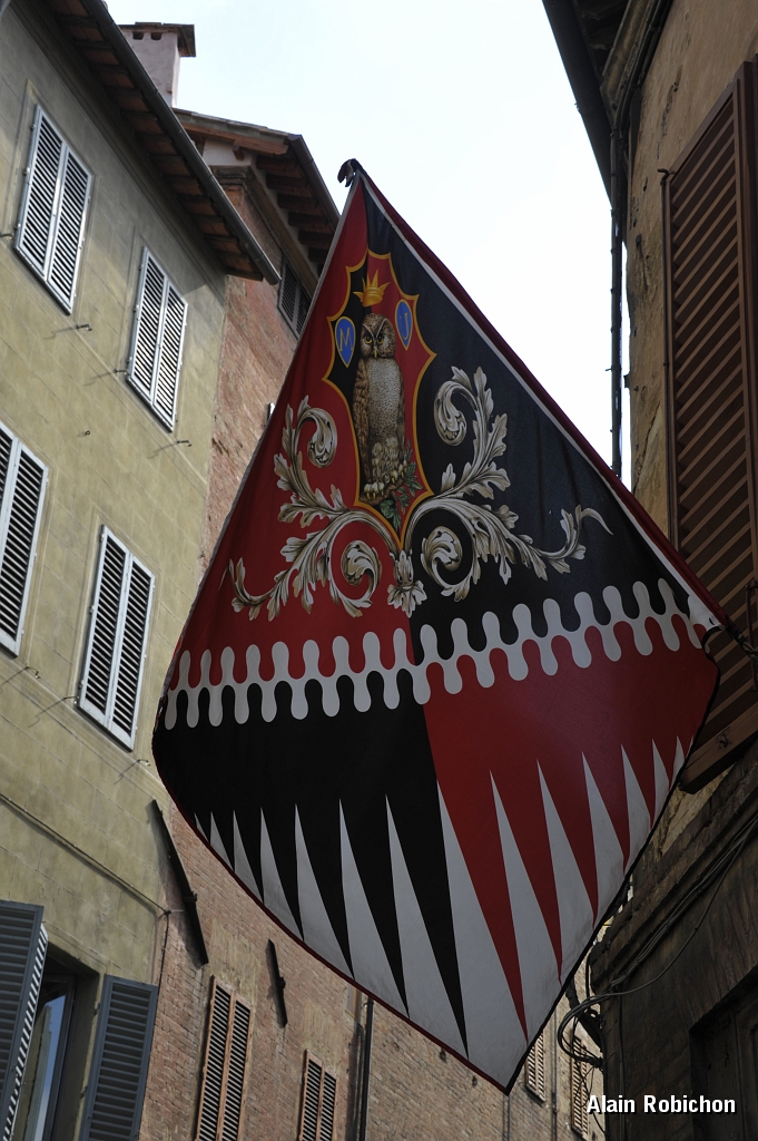 _DSC6868.JPG