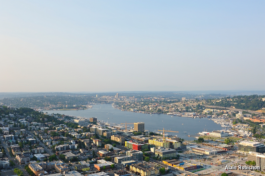 _DSC7560.jpg