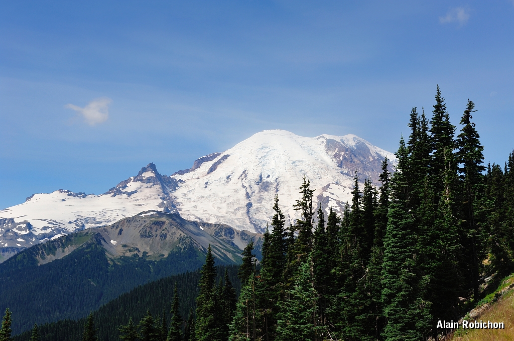_DSC7590.jpg