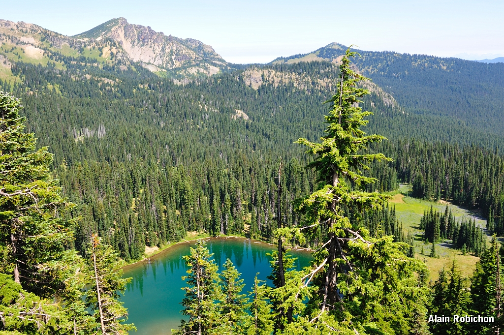 _DSC7593.jpg