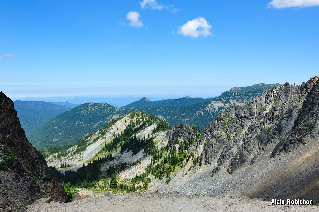 _DSC7598.jpg