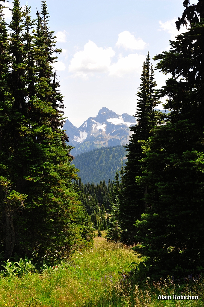 _DSC7608.jpg