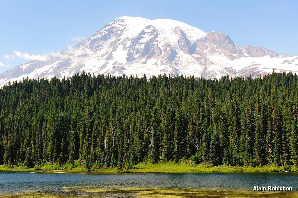 _DSC7614.jpg