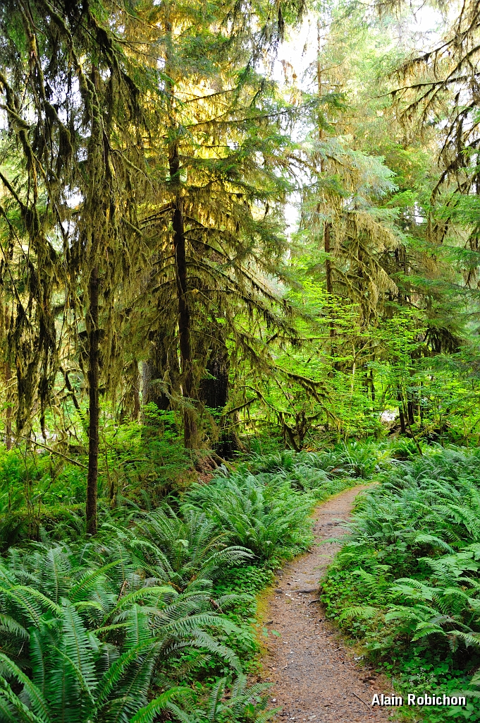 _DSC7633.jpg