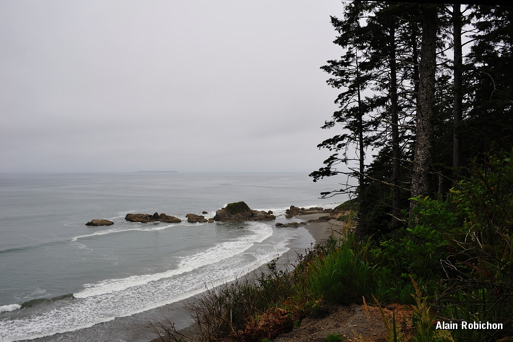 _DSC7641.jpg