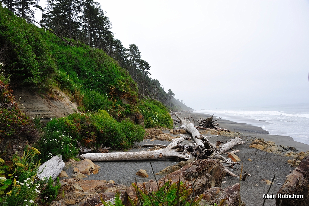 _DSC7643.jpg