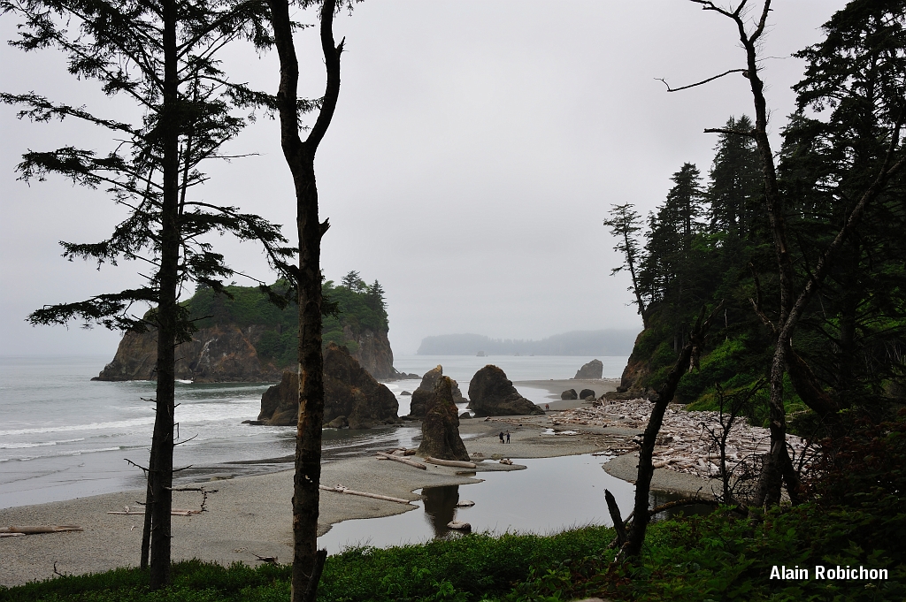 _DSC7656.jpg