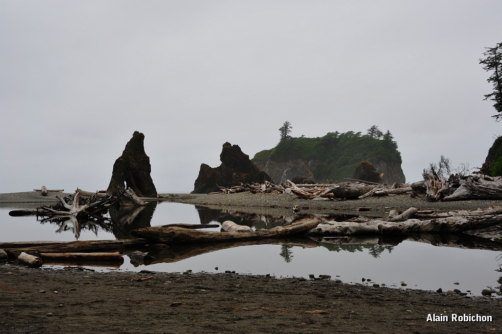 _DSC7658.jpg