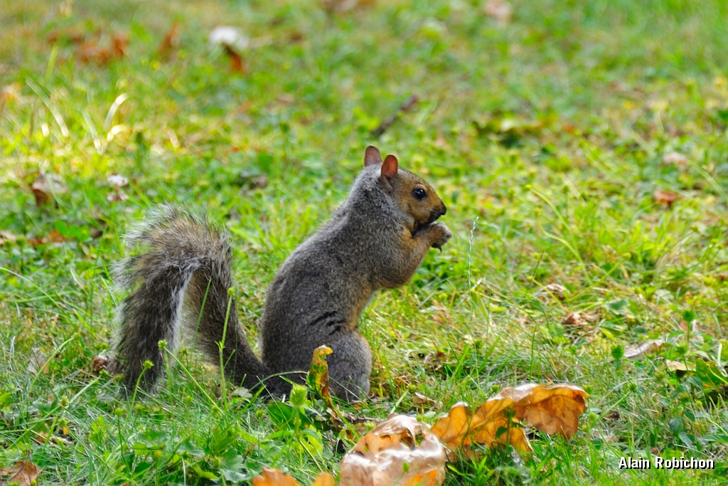 _DSC7680.jpg