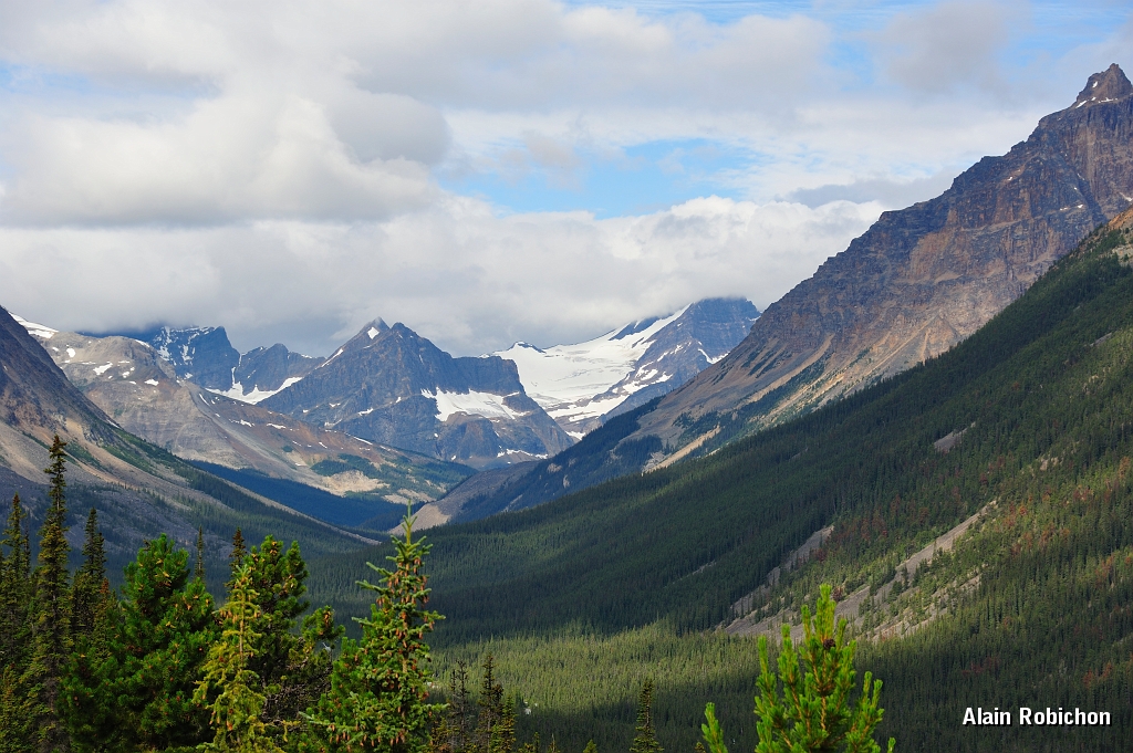 _DSC7767.jpg