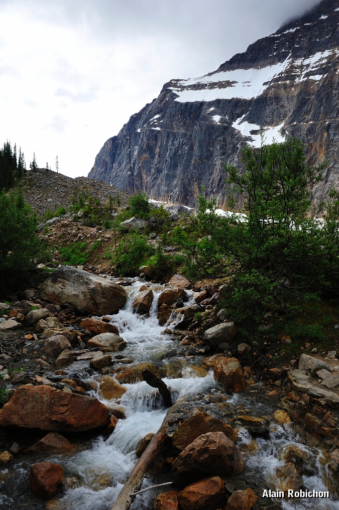 _DSC7782.jpg