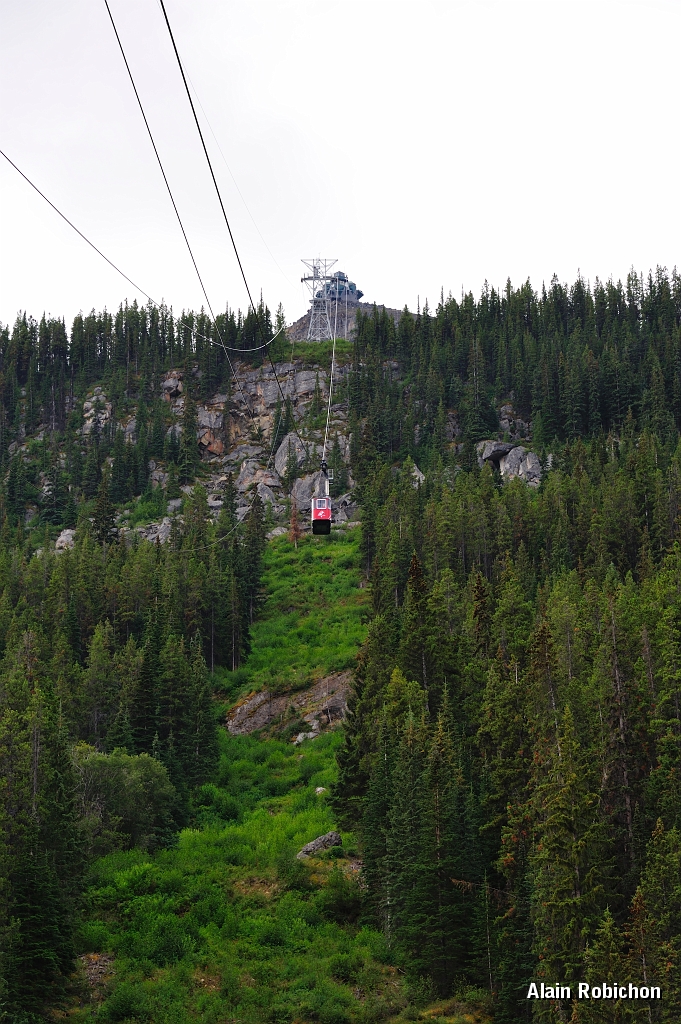 _DSC7789.jpg