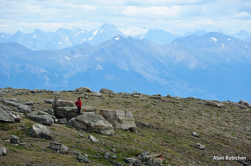 _DSC7793.jpg