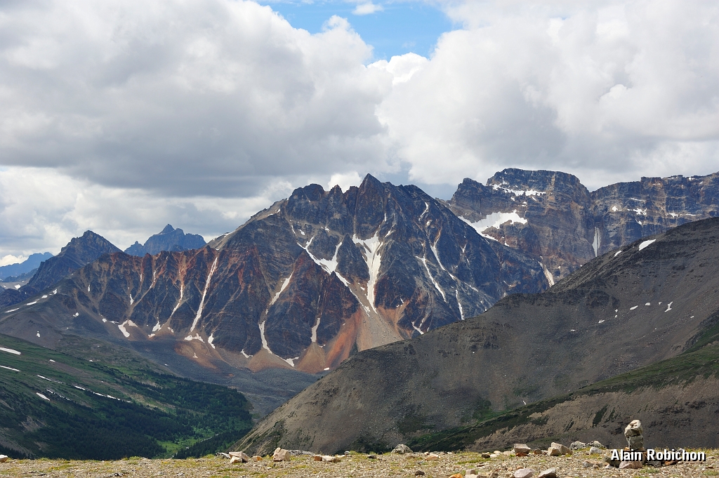 _DSC7795.jpg