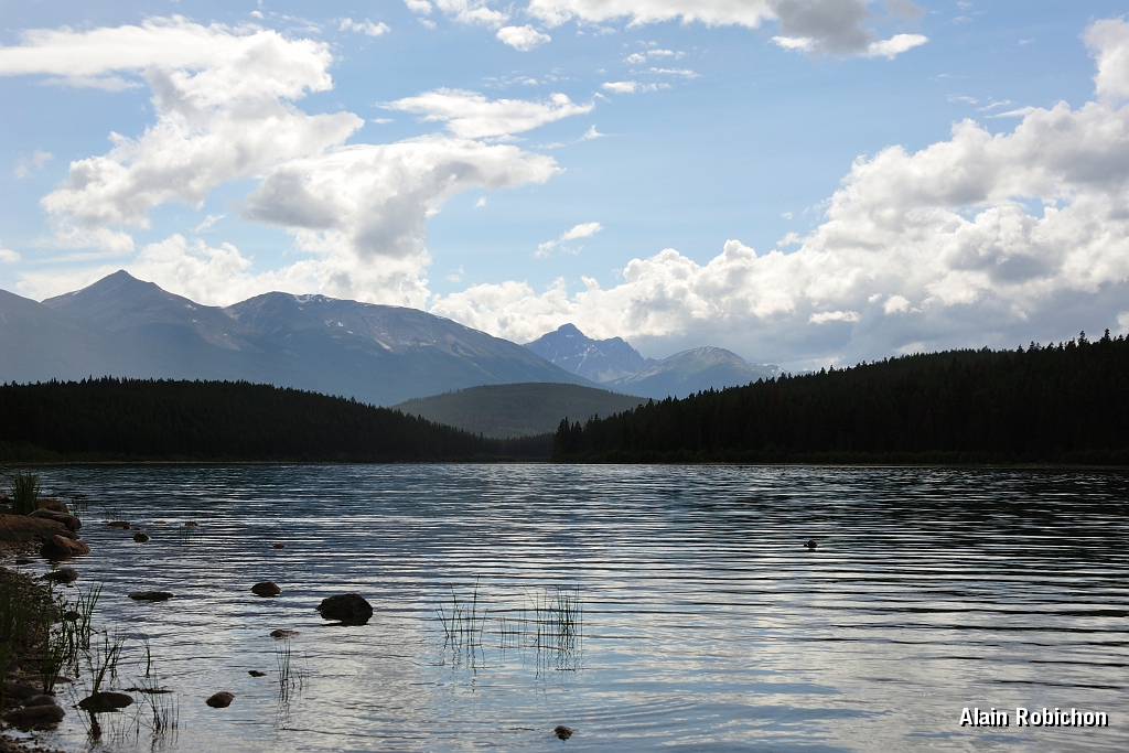 _DSC7803.jpg