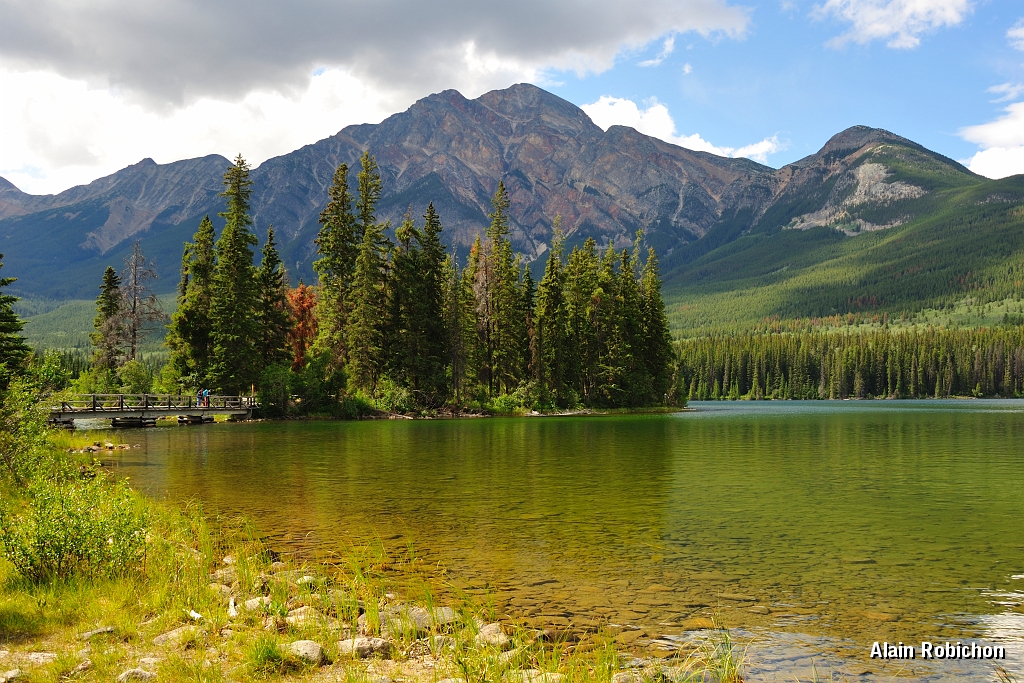 _DSC7808.jpg