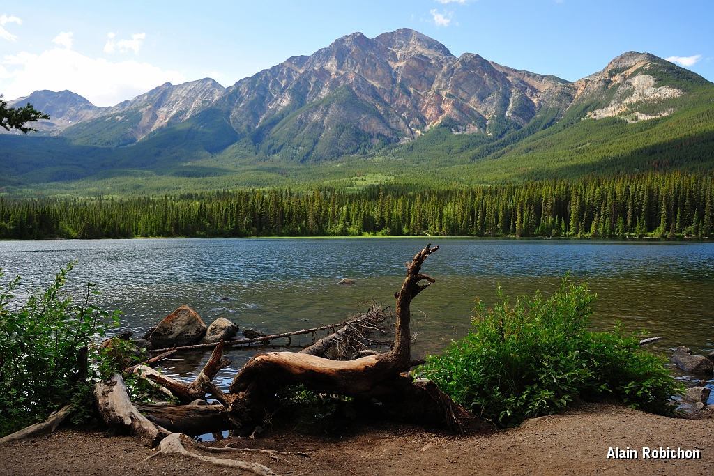 _DSC7813.jpg