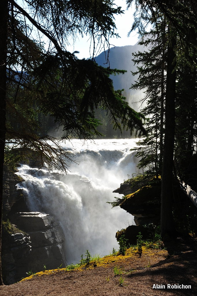 _DSC7865.jpg