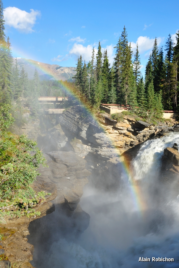 _DSC7867.jpg