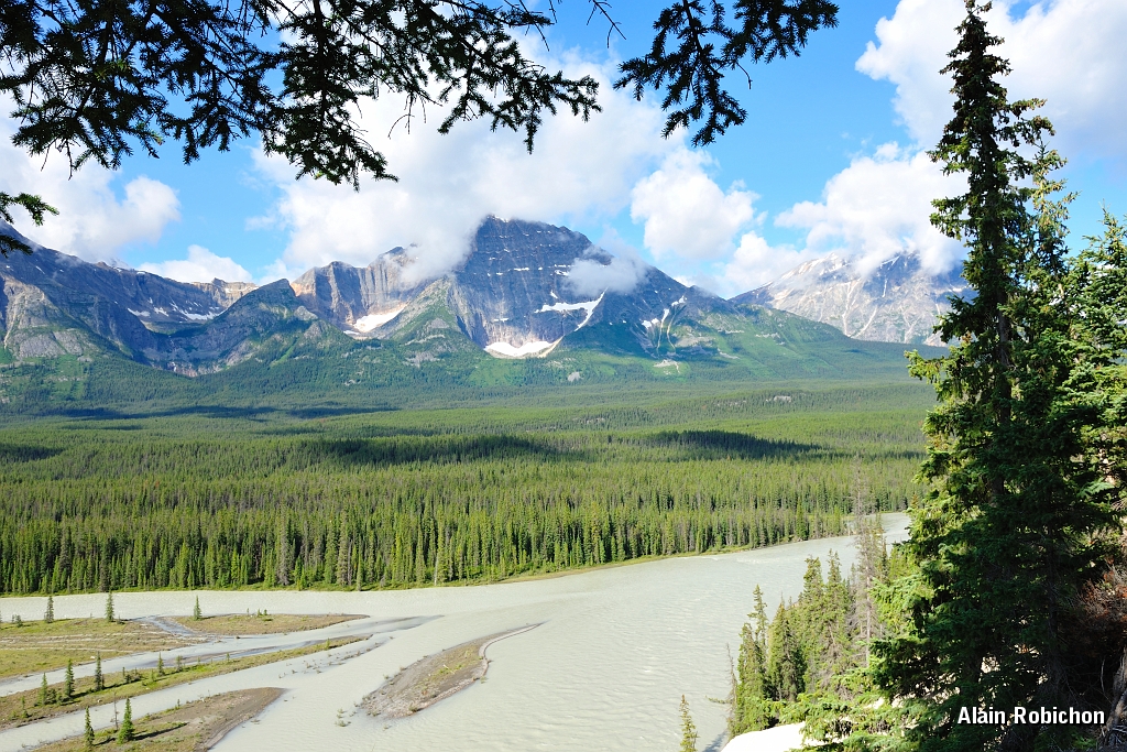 _DSC7873.jpg