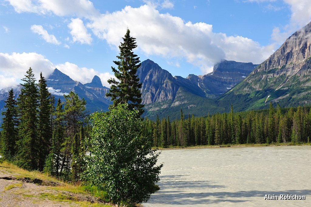 _DSC7875.jpg