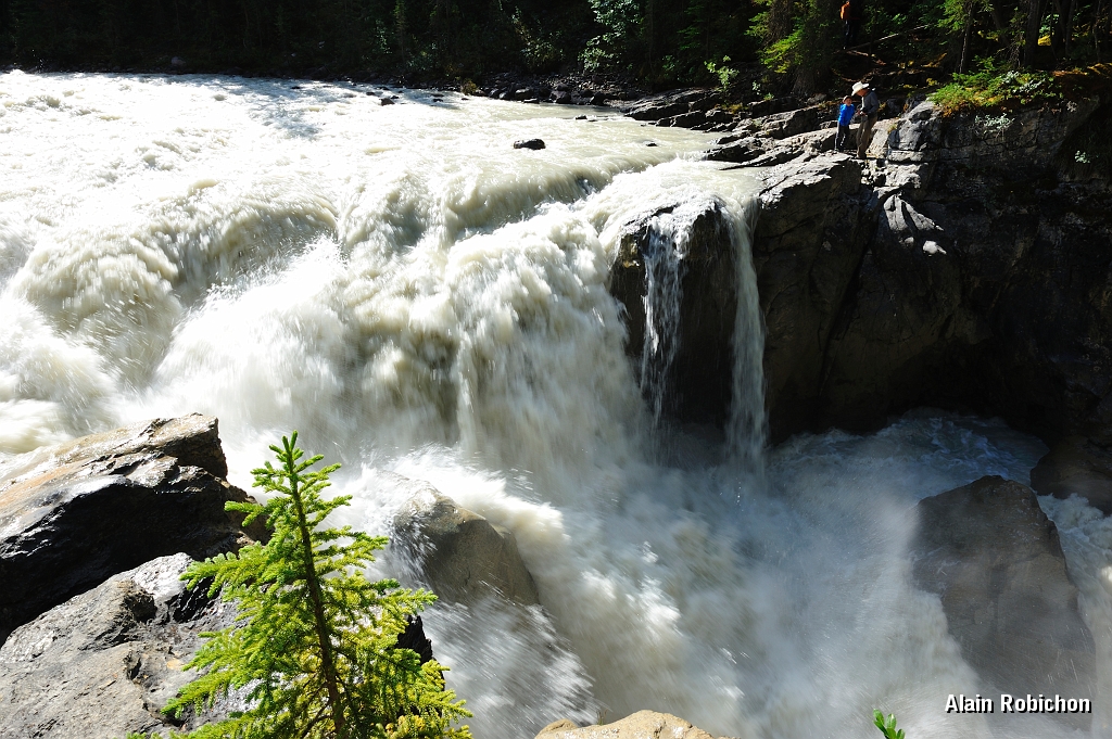 _DSC7883.jpg