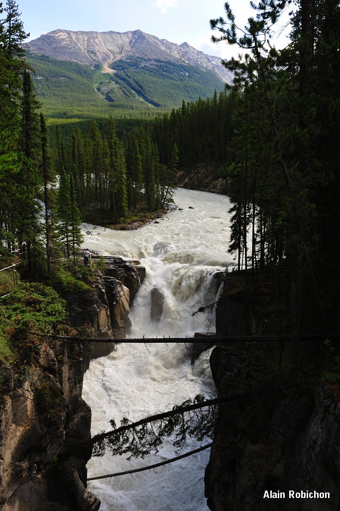 _DSC7886.jpg