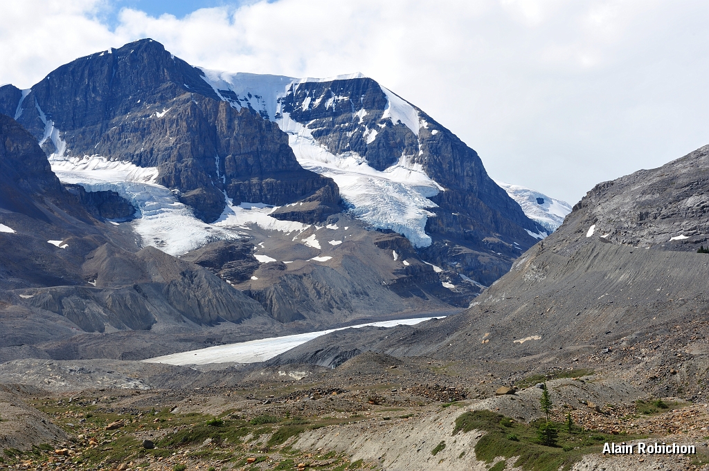 _DSC7901.jpg