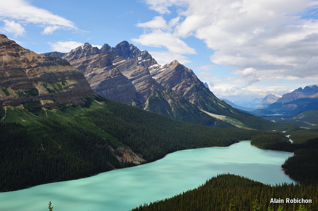 _DSC7925.jpg