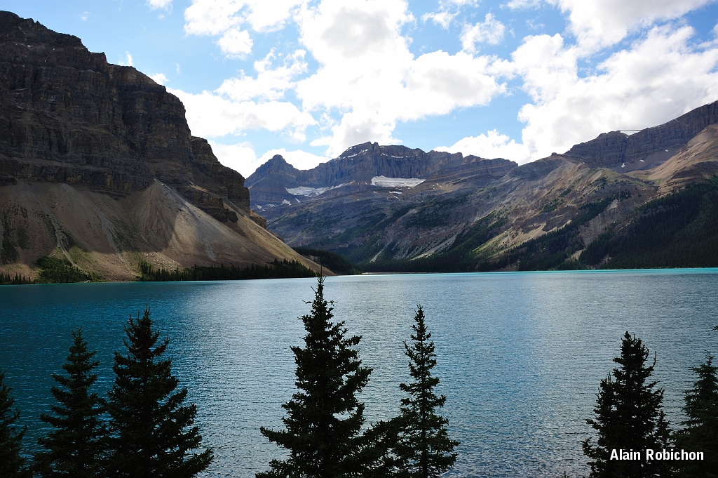 _DSC7936.jpg