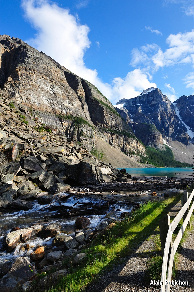 _DSC7953.jpg