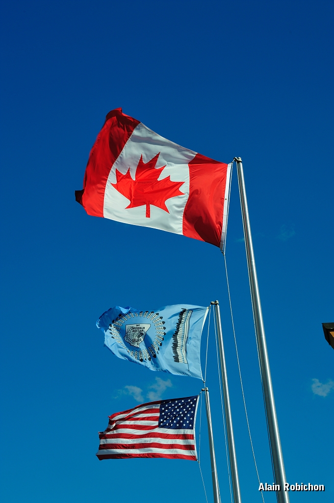 _DSC7972.jpg
