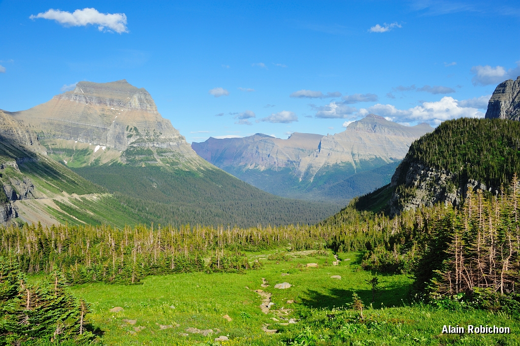 _DSC7973.jpg