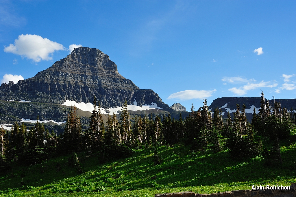 _DSC7975.jpg