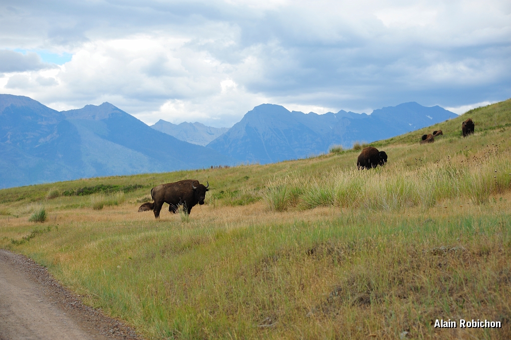 _DSC8051.jpg
