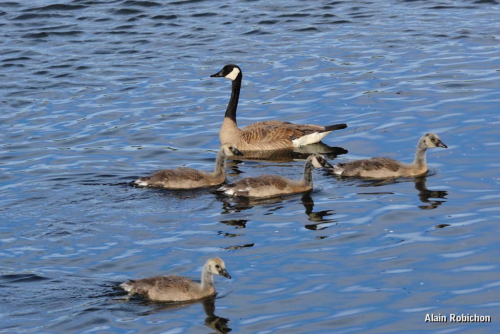 _DSC8127.jpg