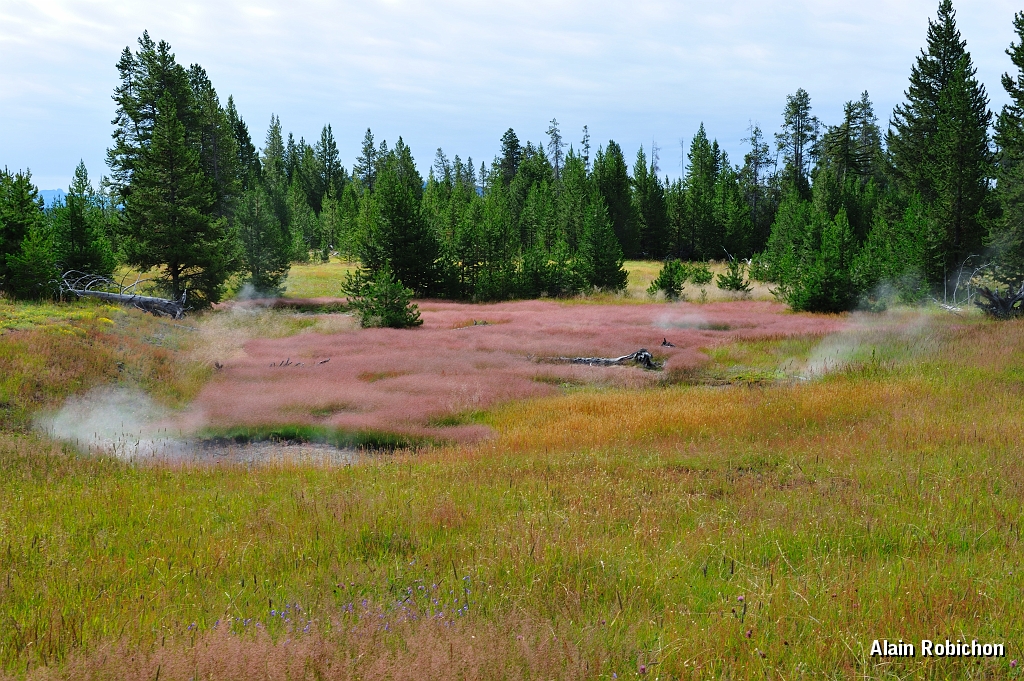 _DSC8131.jpg