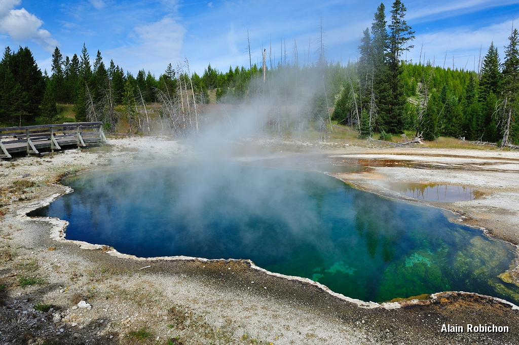 _DSC8135.jpg