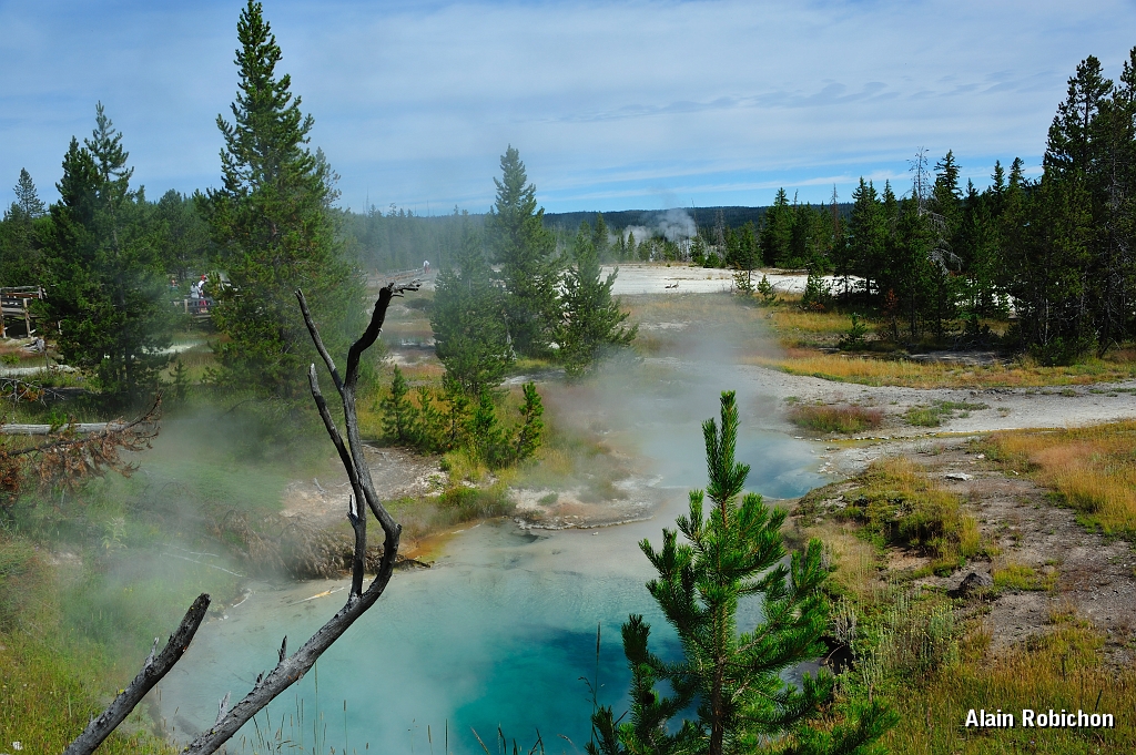 _DSC8143.jpg